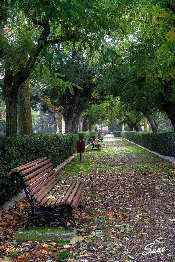Pension Casa Pinilla Cascante Екстер'єр фото